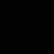 Indissima 20cm Basket - Matte Black image